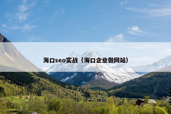 海口seo实战（海口企业做网站）