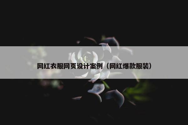 网红衣服网页设计案例（网红爆款服装）
