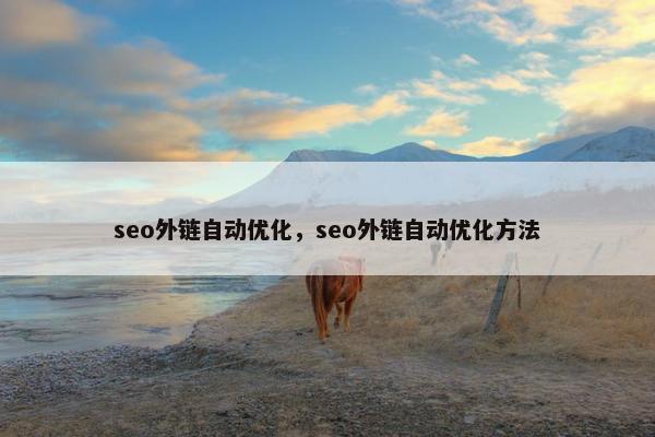 seo外链自动优化，seo外链自动优化方法