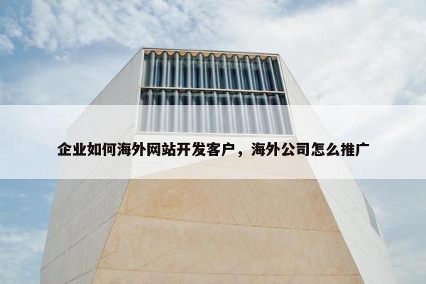 企业如何海外网站开发客户，海外公司怎么推广
