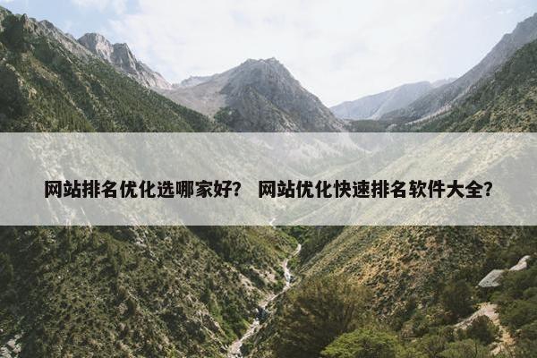 网站排名优化选哪家好？ 网站优化快速排名软件大全？