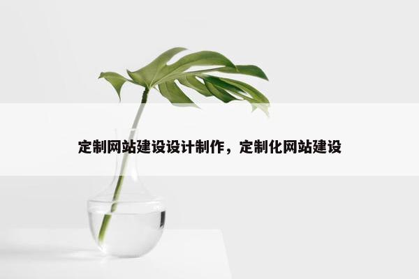 定制网站建设设计制作，定制化网站建设