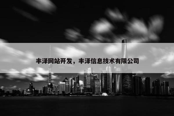 丰泽网站开发，丰泽信息技术有限公司