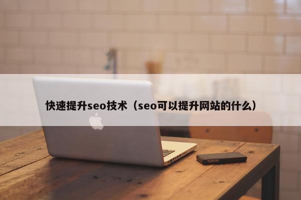 快速提升seo技术（seo可以提升网站的什么）