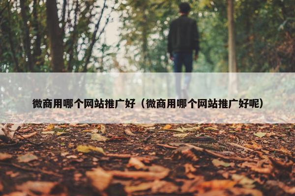 微商用哪个网站推广好（微商用哪个网站推广好呢）