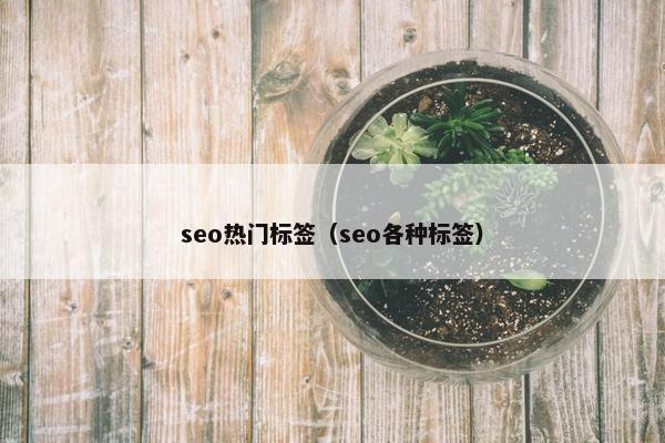 seo热门标签（seo各种标签）