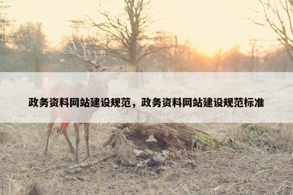 政务资料网站建设规范，政务资料网站建设规范标准