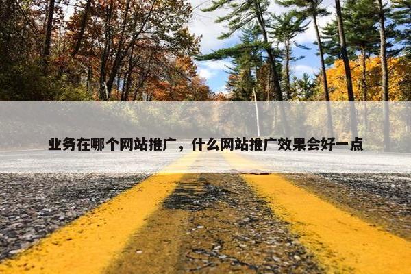 业务在哪个网站推广，什么网站推广效果会好一点