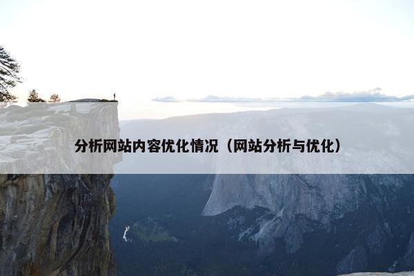 分析网站内容优化情况（网站分析与优化）