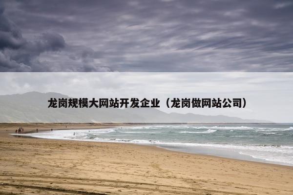 龙岗规模大网站开发企业（龙岗做网站公司）