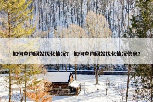 如何查询网站优化情况？ 如何查询网站优化情况信息？