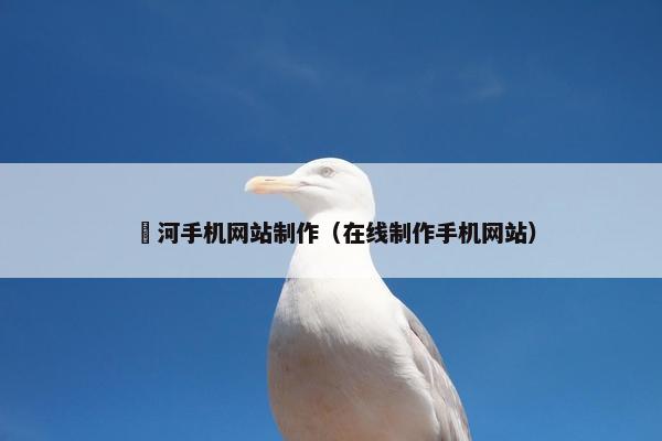 瀍河手机网站制作（在线制作手机网站）