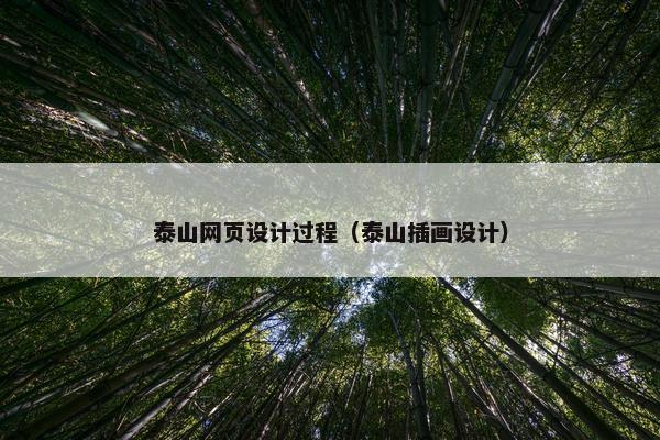 泰山网页设计过程（泰山插画设计）