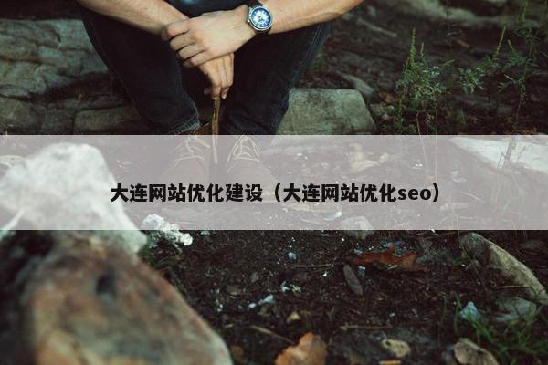 大连网站优化建设（大连网站优化seo）