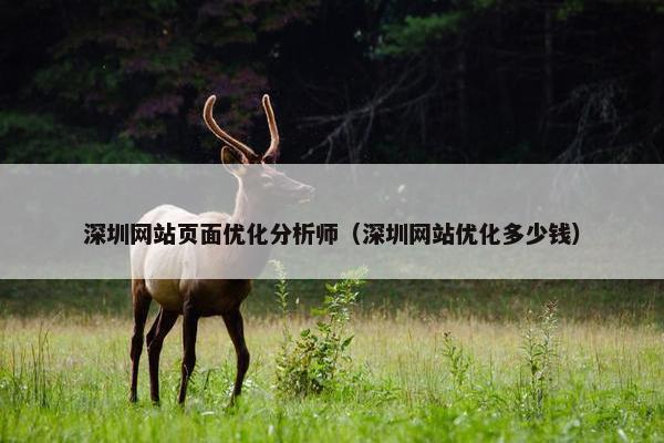 深圳网站页面优化分析师（深圳网站优化多少钱）