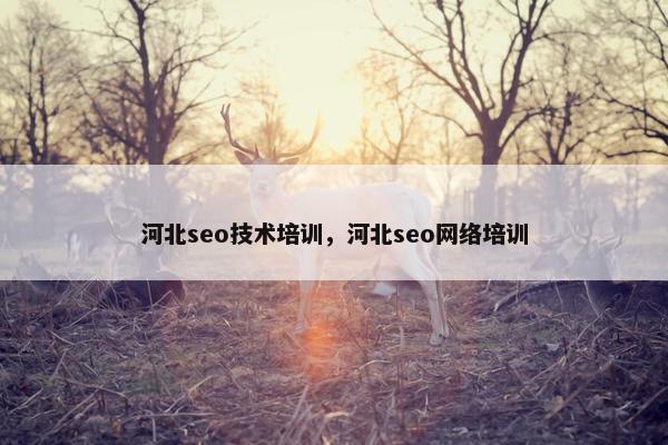 河北seo技术培训，河北seo网络培训