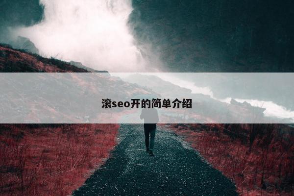 滚seo开的简单介绍