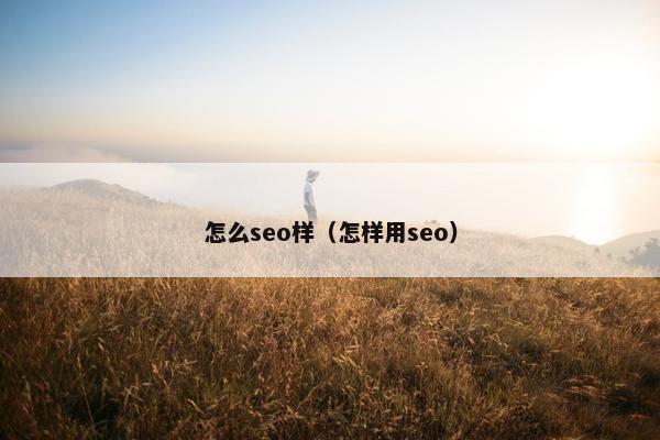 怎么seo样（怎样用seo）