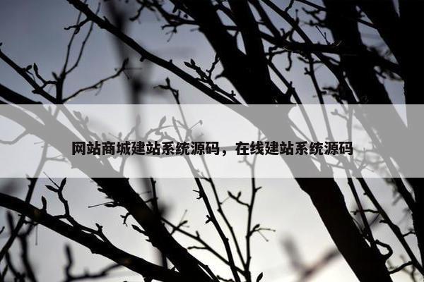 网站商城建站系统源码，在线建站系统源码