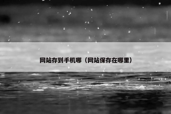 网站存到手机哪（网站保存在哪里）