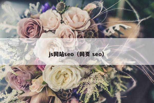 js网站seo（网页 seo）