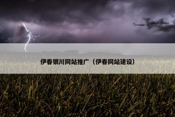 伊春银川网站推广（伊春网站建设）