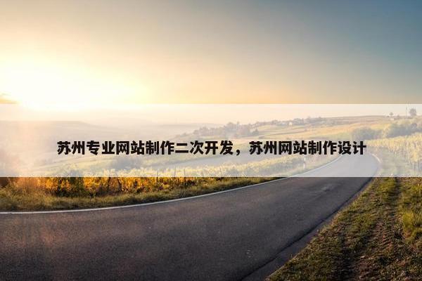 苏州专业网站制作二次开发，苏州网站制作设计