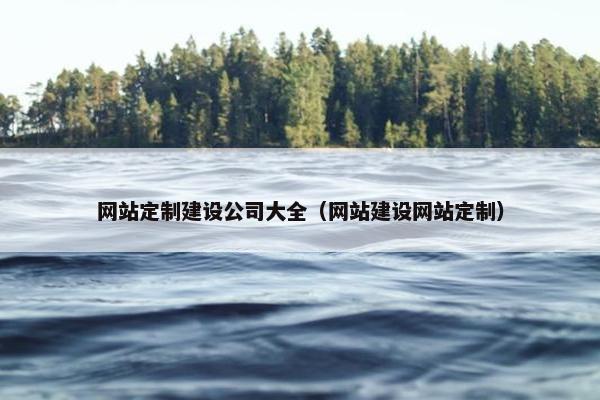 网站定制建设公司大全（网站建设网站定制）