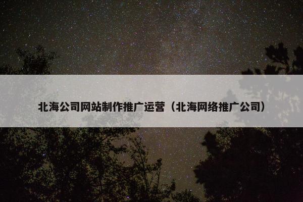 北海公司网站制作推广运营（北海网络推广公司）