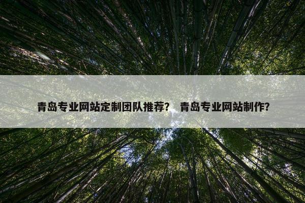 青岛专业网站定制团队推荐？ 青岛专业网站制作？