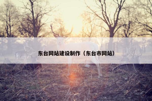 东台网站建设制作（东台市网站）