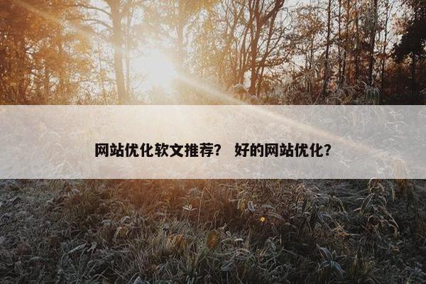 网站优化软文推荐？ 好的网站优化？