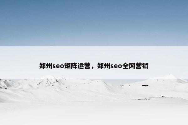 郑州seo矩阵运营，郑州seo全网营销