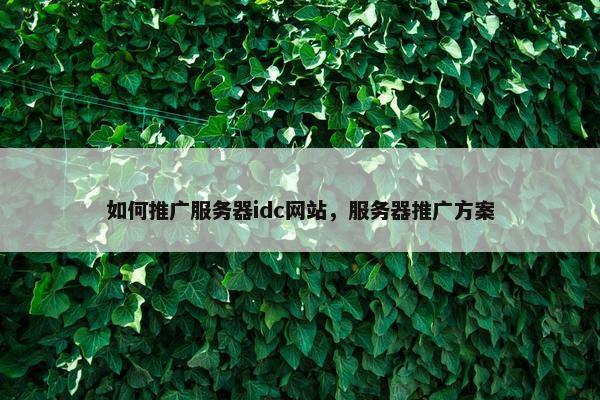 如何推广服务器idc网站，服务器推广方案