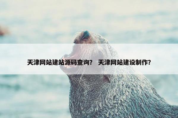 天津网站建站源码查询？ 天津网站建设制作？