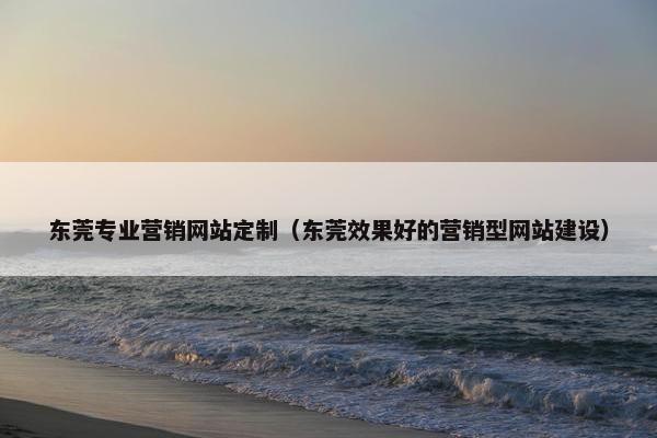 东莞专业营销网站定制（东莞效果好的营销型网站建设）