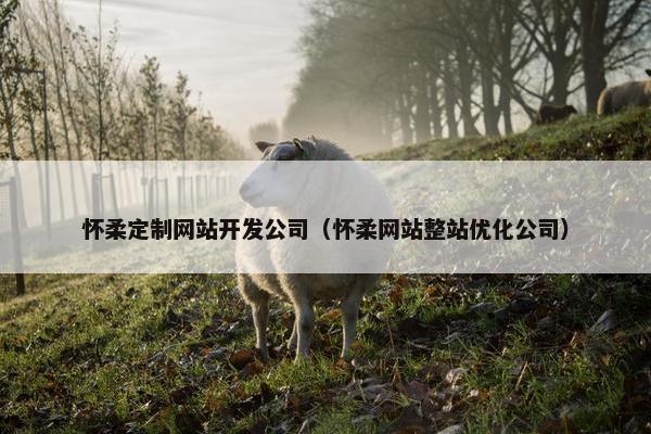 怀柔定制网站开发公司（怀柔网站整站优化公司）