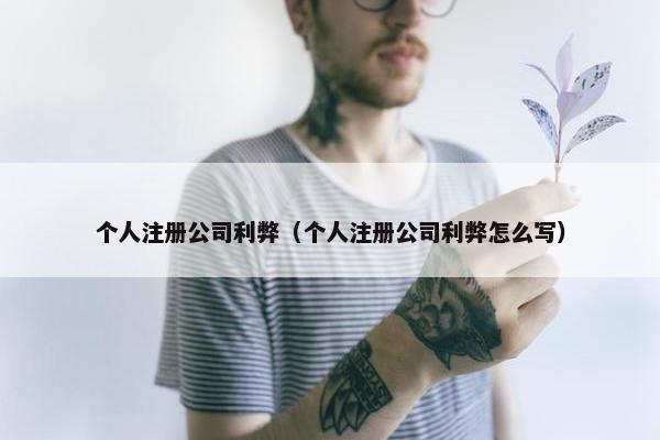 个人注册公司利弊（个人注册公司利弊怎么写）