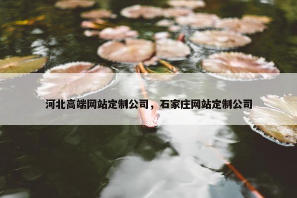 河北高端网站定制公司，石家庄网站定制公司
