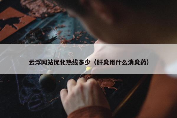 云浮网站优化热线多少（肝炎用什么消炎药）