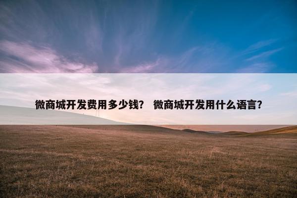 微商城开发费用多少钱？ 微商城开发用什么语言？