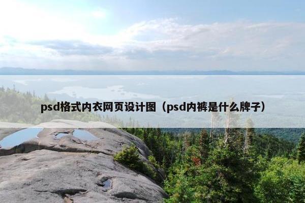 psd格式内衣网页设计图（psd内裤是什么牌子）
