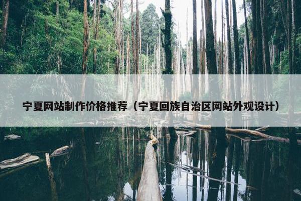 宁夏网站制作价格推荐（宁夏回族自治区网站外观设计）