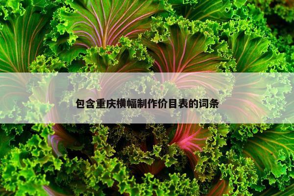 包含重庆横幅制作价目表的词条