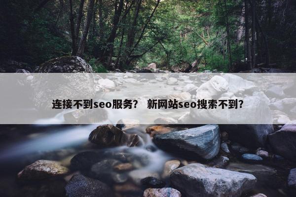 连接不到seo服务？ 新网站seo搜索不到？