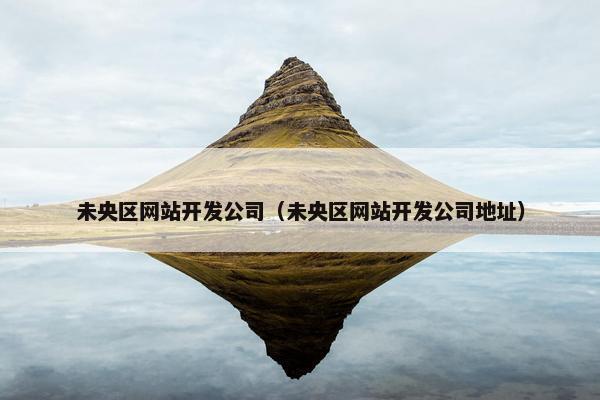未央区网站开发公司（未央区网站开发公司地址）
