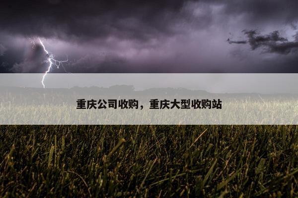 重庆公司收购，重庆大型收购站