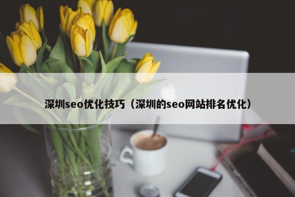 深圳seo优化技巧（深圳的seo网站排名优化）
