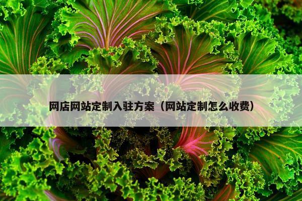 网店网站定制入驻方案（网站定制怎么收费）