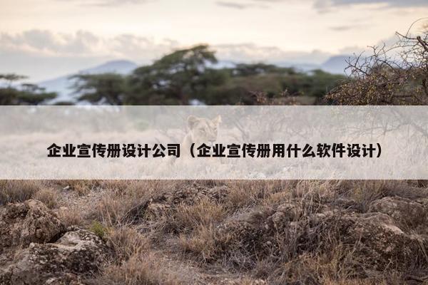 企业宣传册设计公司（企业宣传册用什么软件设计）